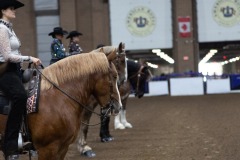Untitled-0078-5