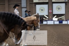 Untitled-0079-5