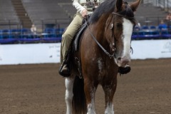 Untitled-0021-11
