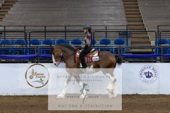 Untitled-0029-1