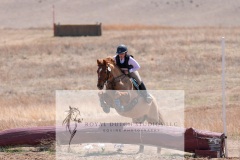 DSC07219
