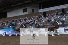 Untitled-0033-24