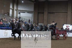 Untitled-0052-15