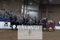 Untitled-0053-15