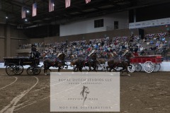 Untitled-0078-13