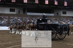 Untitled-0086-12