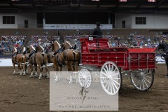 Untitled-0087-12