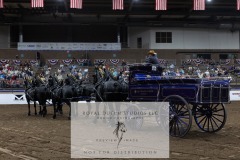Untitled-0088-12
