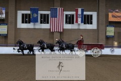 Untitled-0092-11