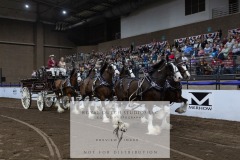 Untitled-0103-10
