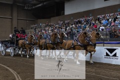 Untitled-0105-10
