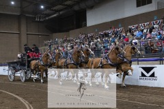 Untitled-0106-10