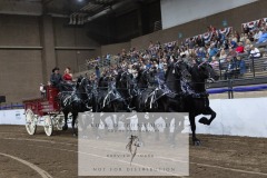 Untitled-0107-10