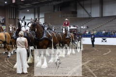 Untitled-0109-10