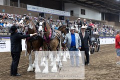 Untitled-0135-9