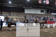 Untitled-0152-8