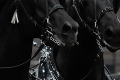 Untitled-0162-6