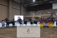Untitled-0165-6