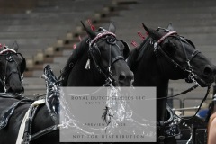 Untitled-0172-6