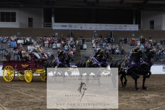 Untitled-0188-4