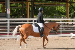 Untitled-0033-11