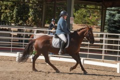 Untitled-0046-10