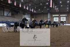 Untitled-0004-8