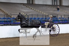 Untitled-0054-1