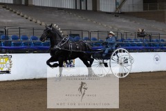 Untitled-0079-1
