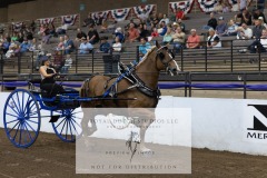 Untitled-0084-1