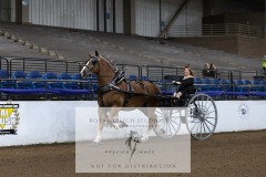 Untitled-0108-1