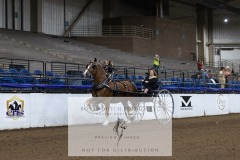 Untitled-0110-1