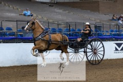 Untitled-0072-3