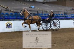 Untitled-0073-3