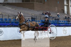 Untitled-0076-3