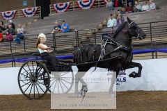 Untitled-0102-3