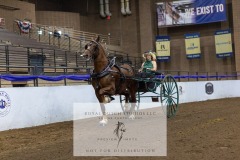 Untitled-0112-3