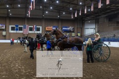 Untitled-0153-1