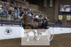 Untitled-0035-17