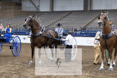 Untitled-0058-12
