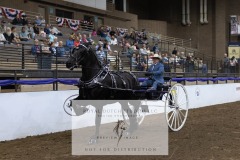 Untitled-0073-11