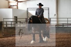 DSC08149