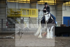 1_DSC08675