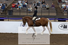 Untitled-0061-8