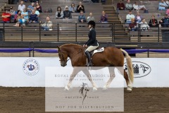 Untitled-0063-8