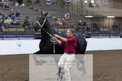 Untitled-0037-9