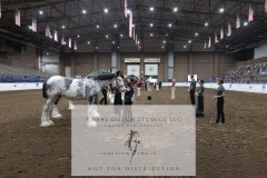 Untitled-0028-11