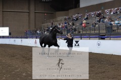 Untitled-0051-6