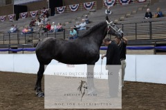 Untitled-0057-6