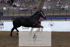 Untitled-0071-6
